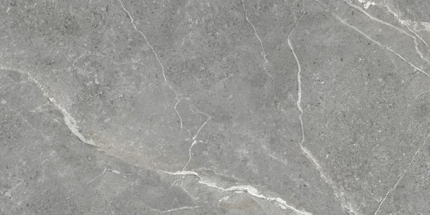 Керамогранит Artkera Group Titanium Gris 60x120 GP60120TIA05M