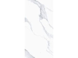 Winter Ice (Primavera)