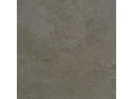 Evolution (Apavisa Porcelanico)