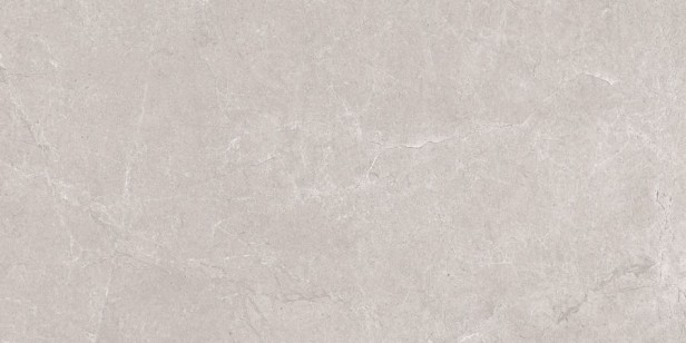 Керамогранит Neodom Stone Aristo Grey Tm 80x160 N20497