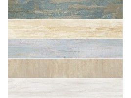 Ape Ceramica Jaipur