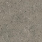 Керамогранит Atlas Concorde Italy Marvel Meraviglia Grigio Elegante Velvet 9 mm 120x120 AJIL