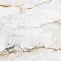 Керамогранит Pamesa Ceramica Cr.Pisa Gold Leviglass 120x120 004.120.0189.00145