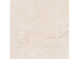 Ocean Ceramic 60x60