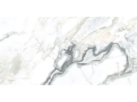 Oyster (Geotiles)