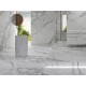 Statuario (Moreroom Stone)