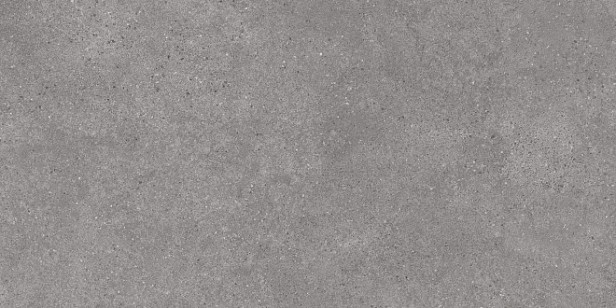 Керамогранит Kerama Marazzi Фондамента Серый Обрезной 119.5x238.5 DL590120R