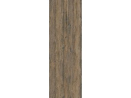 Plank (Kale)