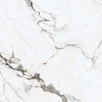 Керамогранит Orient Ceramic Bianco Carrera Матовый 60x60 506 Керамогранит Orient Ceramic Bianco Carrera Матовый 60x60 506