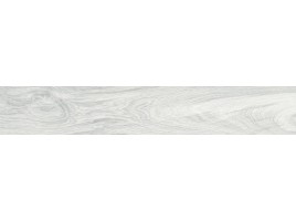 Branch (Primavera)