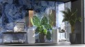 Керамогранит Neodom Luxury Amadeus Polished 60x120 N20328