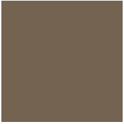 Керамогранит TopCer Victorian Designs Coffee Brown 29 Loose 10x10 L4429-1Ch