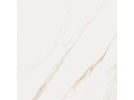 Omnia (Cerdomus)