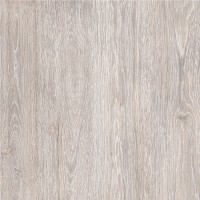 Керамогранит ProGRES Ceramica KeraForest Коричневый Светлый 60x60 NR0380