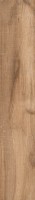Керамогранит Alpas Euro Wood Vocore Brown 20x120 N177281