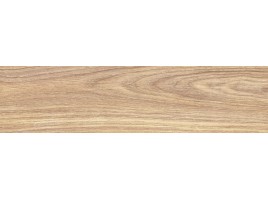 Aspen (NewTrend)