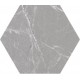 Керамогранит Click Ceramica Cosmo Hexagonal Silver 20x24