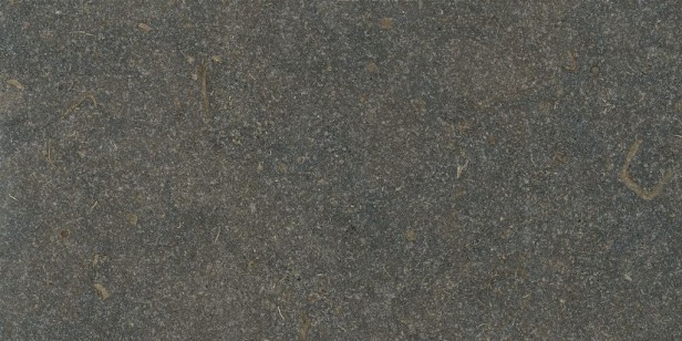 Керамогранит Living Ceramics Oda Classic Honed 29.8x59.8 LV12102
