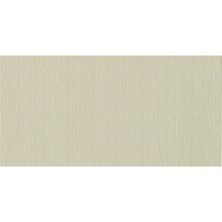 Декор Urban Ash Inserto Scratch 