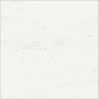 Керамогранит Italon Charme Deluxe Bianco Michelangelo Nat Ret 80x80 610010001914