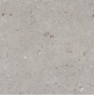 Керамогранит Provenza Ego Grigio Naturale 60x60 EHE5