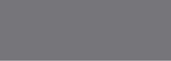 Плитка Eletto Ceramica Foresta Silver 24.2х70 00-00108472