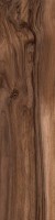 Керамогранит Sadon Living Noce 15x61 J86154 Керамогранит Sadon Living Noce 15x61 J86154
