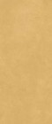 Керамогранит Simpolo Ceramics Spectra Scs Mustard Gv 120x278