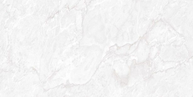 Керамогранит Neodom Marble Carrara Pearl Polished 60x120 N20481