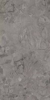 Керамогранит Gigacer Criostone Elephant Mat 60x120 6CRIOELEPMAT60120