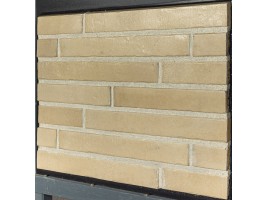 Lifebrick 