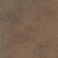 Керамогранит Ariana Worn Copper Ret 120x120 PF60002177