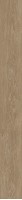 Plein Air Nut