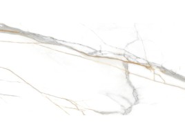 Roma Grigio (Absolut Gres)