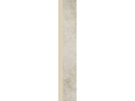 Proteo (Paradyz)