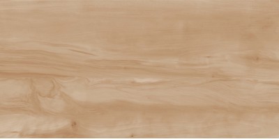 Керамогранит Realistik Paint Wood Bone Gloss 60x120