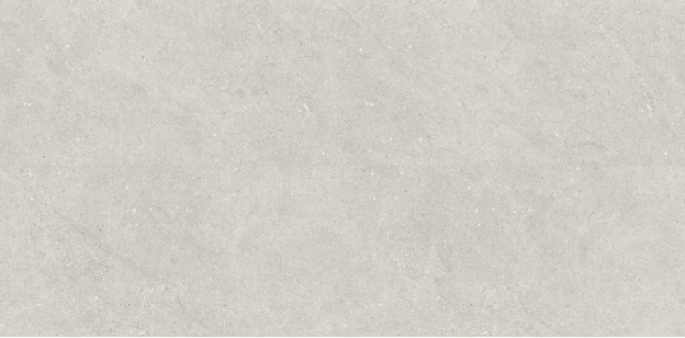 Керамогранит Neodom Concept Liberty Grey Matt 60x120 N110007