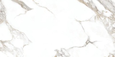 Керамогранит Goldis Tile Carrera White Silky Rectified 59.7x119.8 AOZ5 OOOC