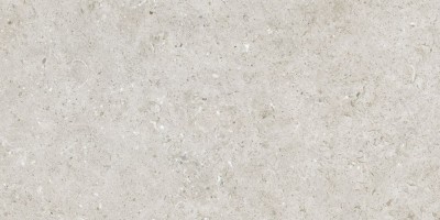 Керамогранит Living Ceramics Bera And Beren Light Grey Natural 60x120 LV10421