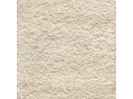 Floor Gres Safestone
