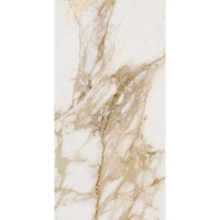 Керамогранит Ocean Ceramic Loyal Glossy 60х120