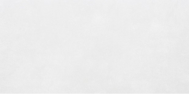 Плитка AltaCera Glent Antre White 24.9x50 настенная WT9ANR00