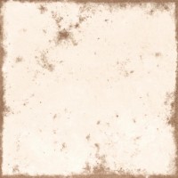 Керамогранит Alpas Euro Savona Light Base Matt 20x20 