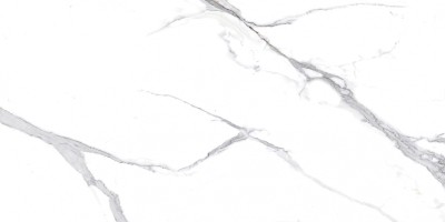 Керамогранит Ceradim Calacatta Splendid Silver Белый Матовый 60x120 Керамогранит Ceradim Calacatta Splendid Silver Белый Матовый 60x120