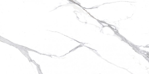 Керамогранит Ceradim Calacatta Splendid Silver Белый Матовый 60x120