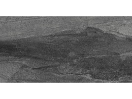 Disengaged (Nanogress)