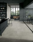 Infinium (Global Tile)