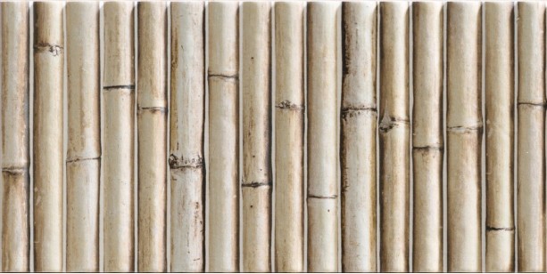 Bamboo White