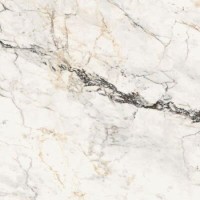 Керамогранит La Faenza Aesthetica 120x120 AEPAO6120LP Керамогранит La Faenza Aesthetica 120x120 AEPAO6120LP