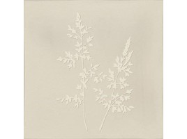 Root (Vives Ceramica)